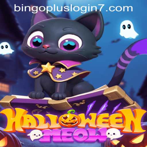 Unveiling HalloweenMeow: A Spooky Adventure with Bingoplus Login
